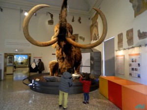 Museo di Scienze Naturali di Bergamo