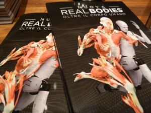 real bodies