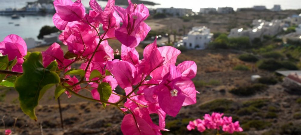 DOVE DORMIRE A KARPATHOS